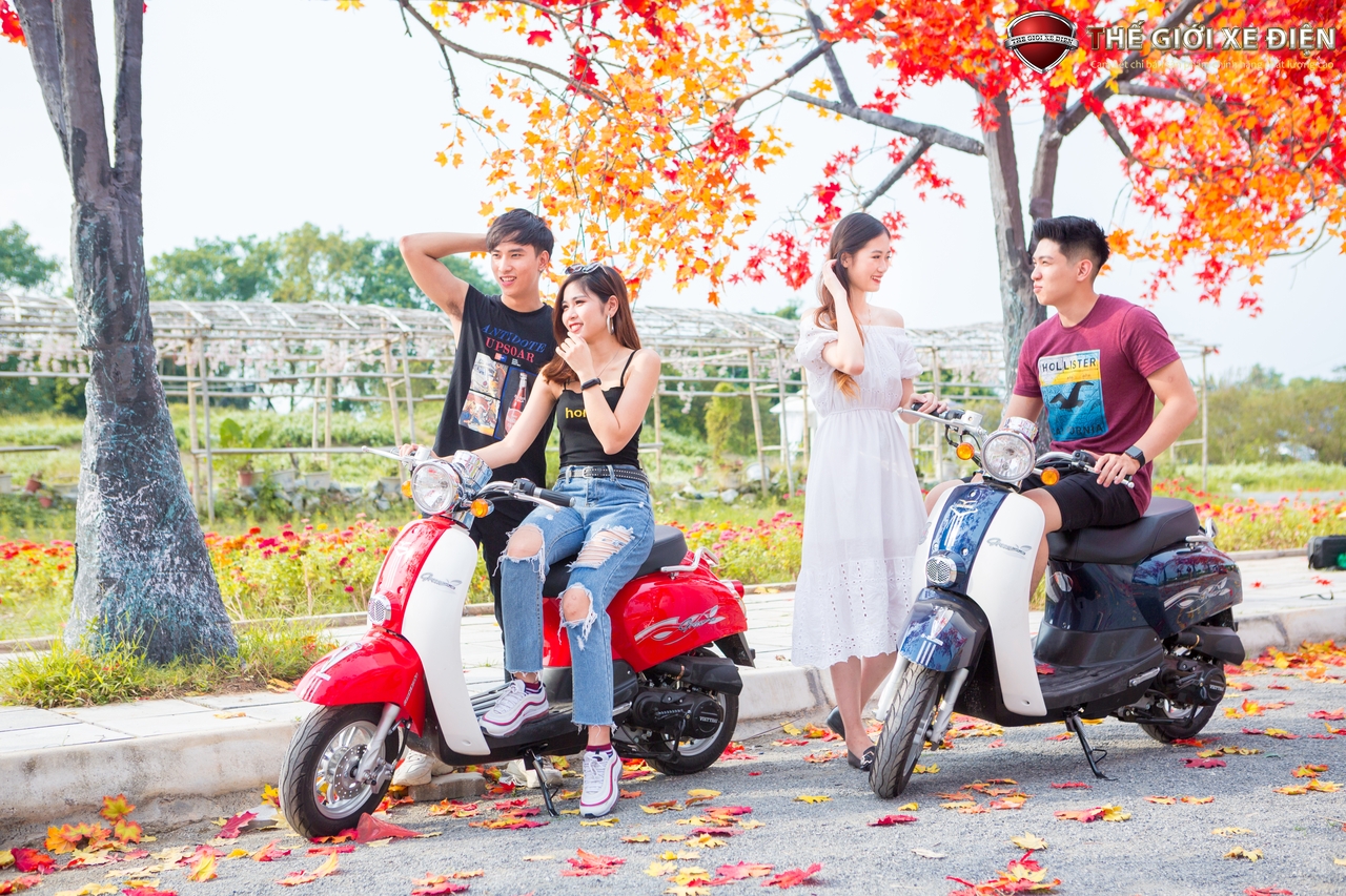 xe ga 50cc scoopy việt thái