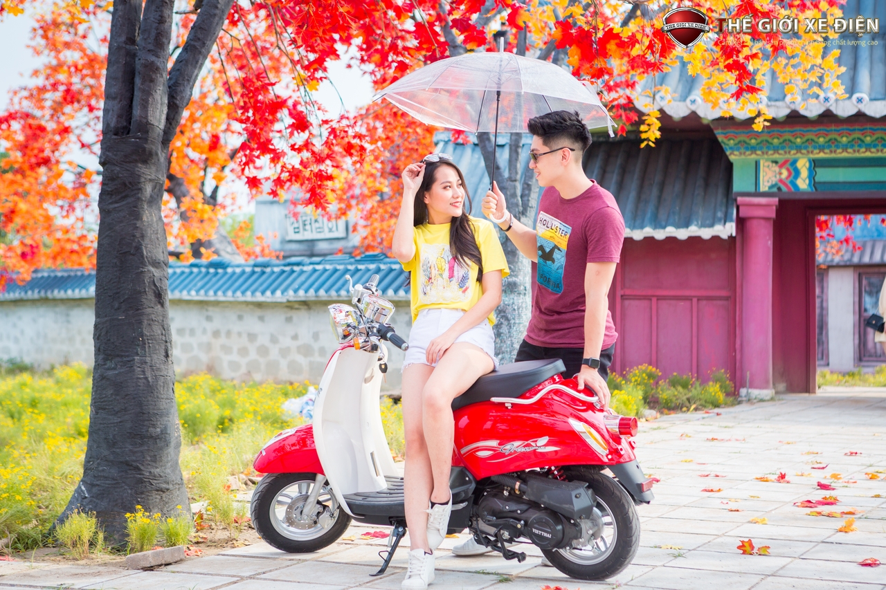 xe ga 50cc scoopy việt thái