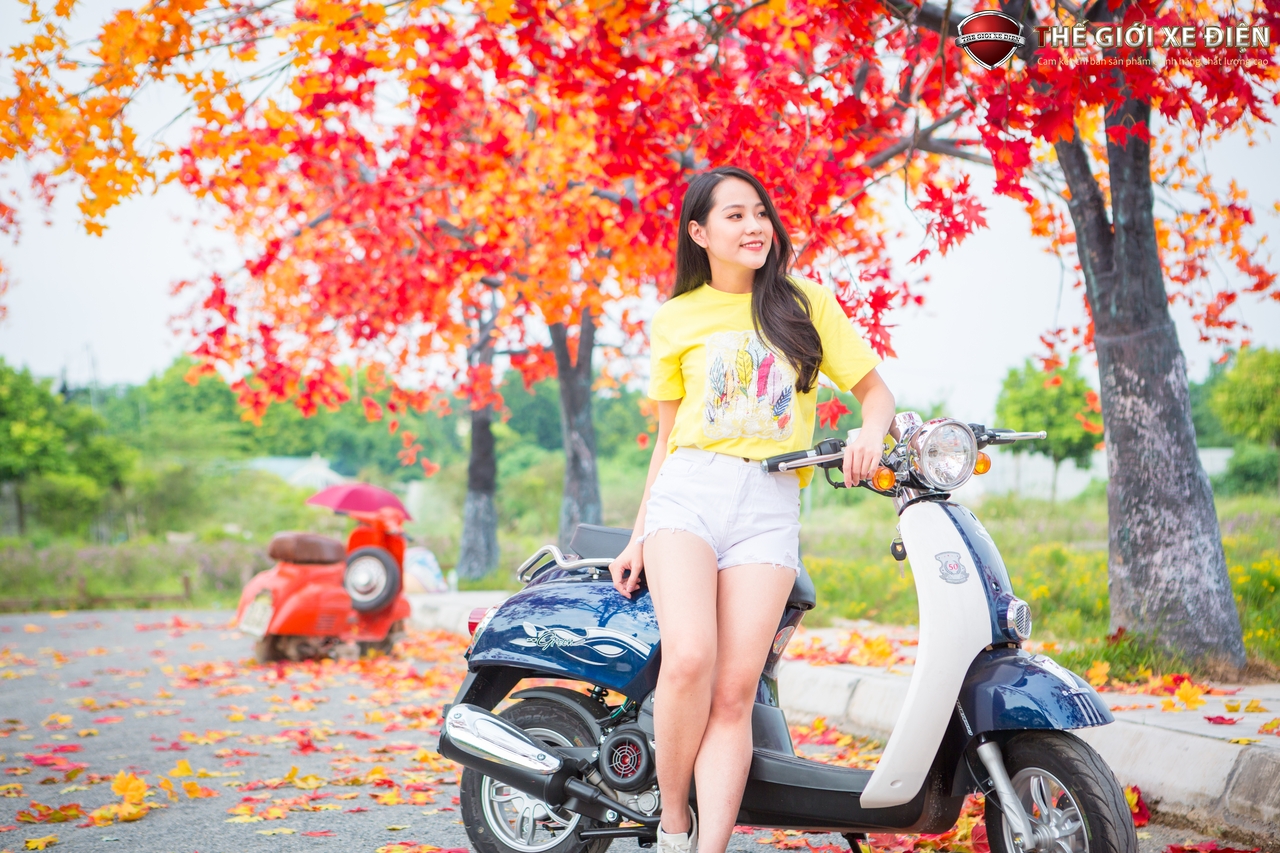 xe ga 50cc scoopy việt thái