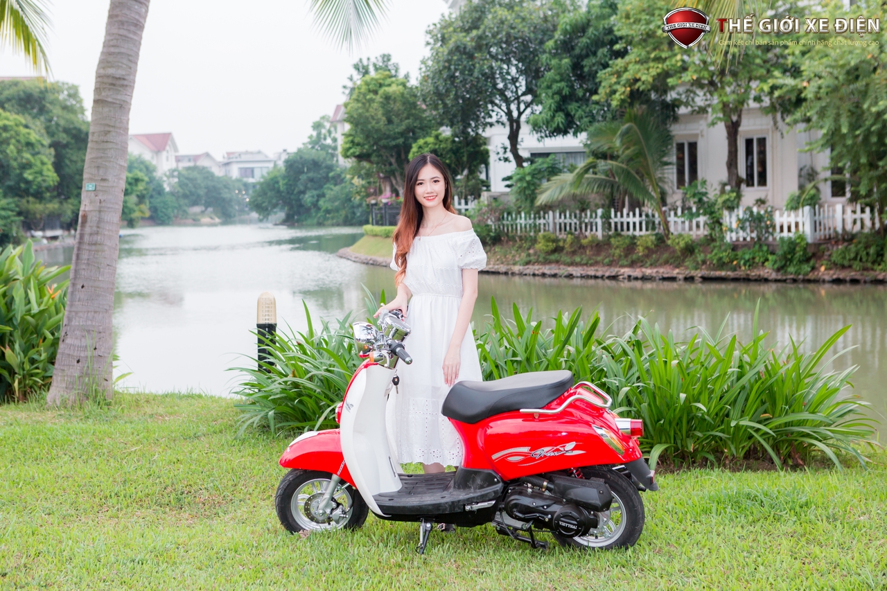 xe ga 50cc scoopy việt thái