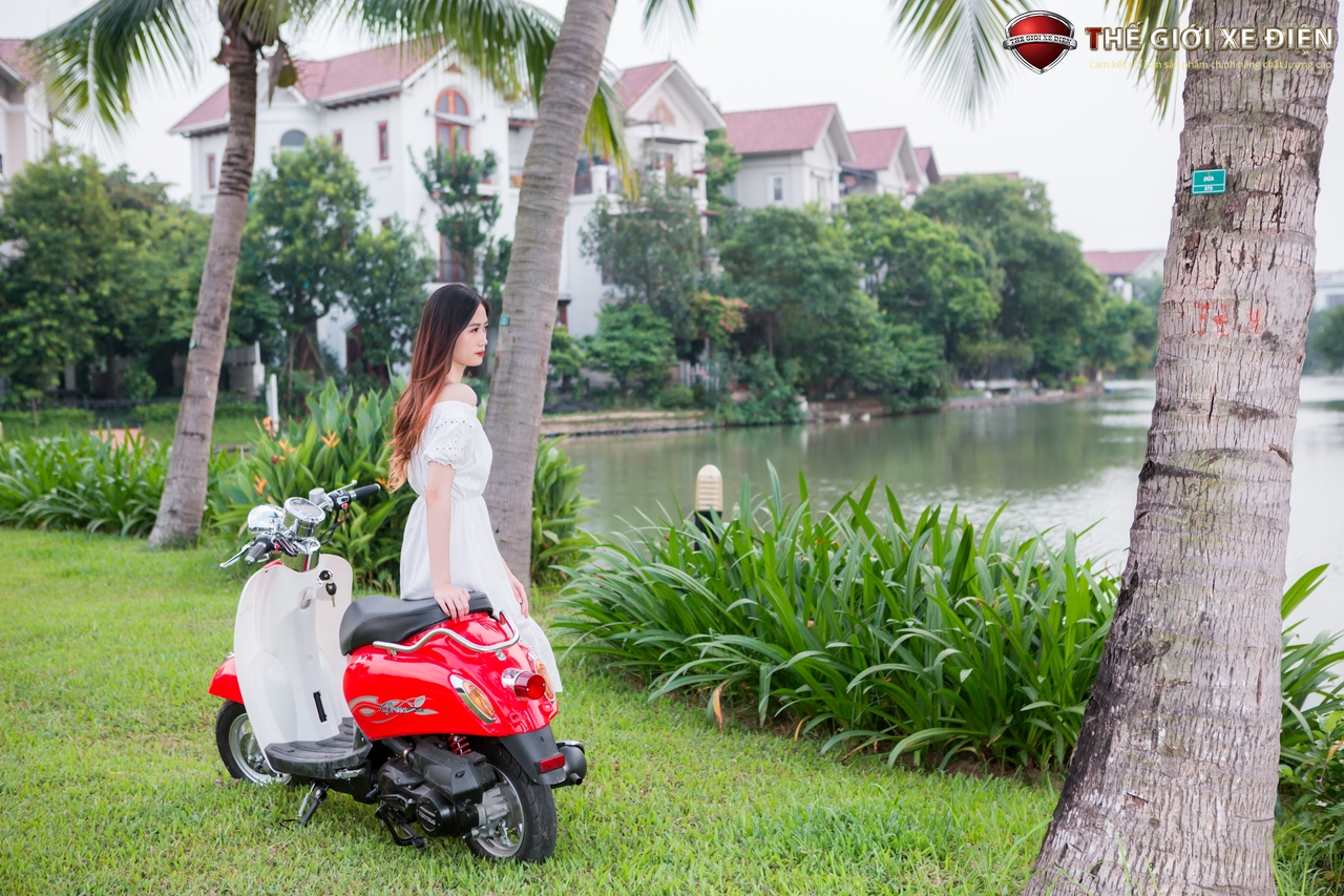 xe ga 50cc scoopy việt thái