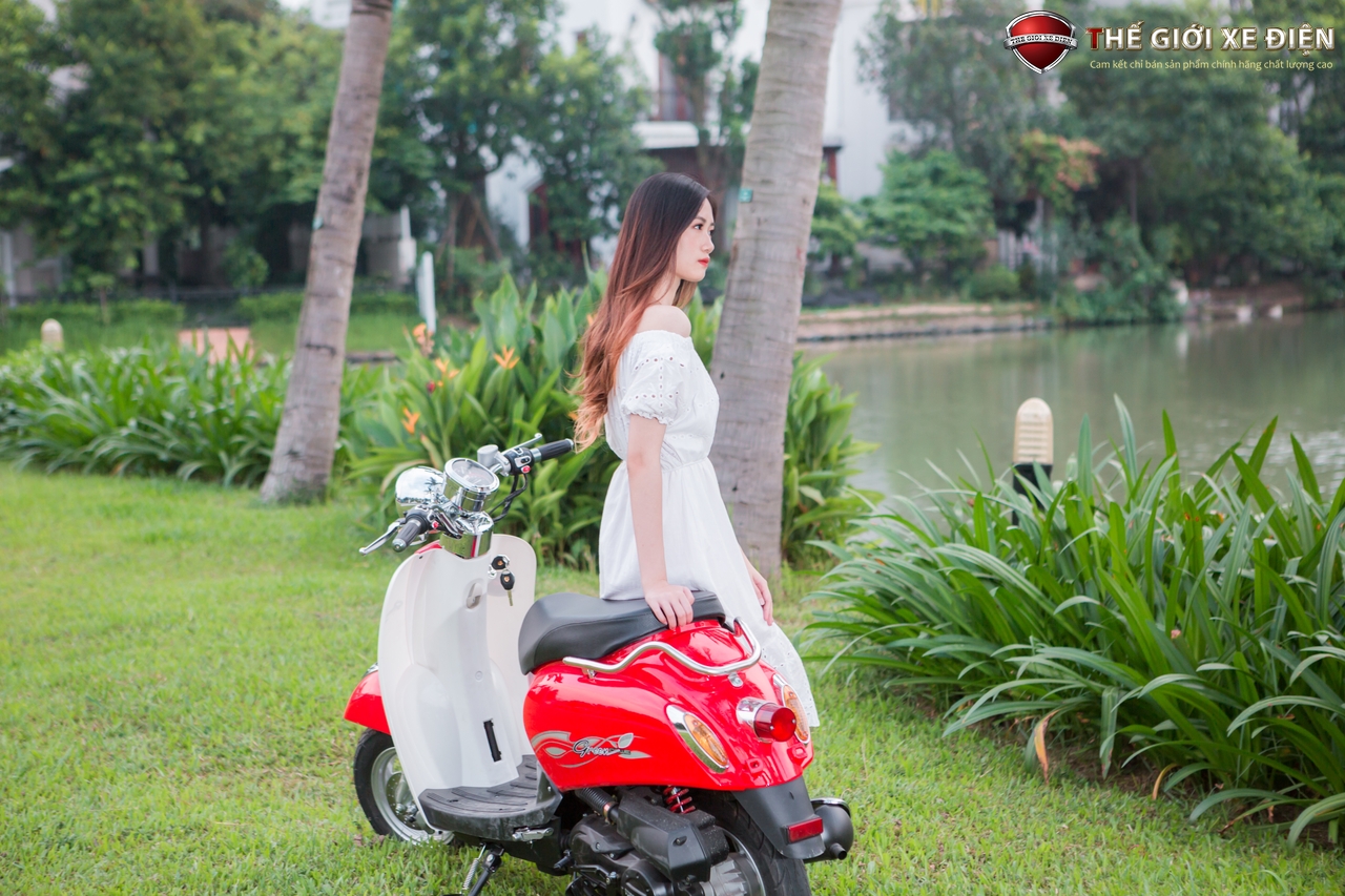 xe ga 50cc scoopy việt thái