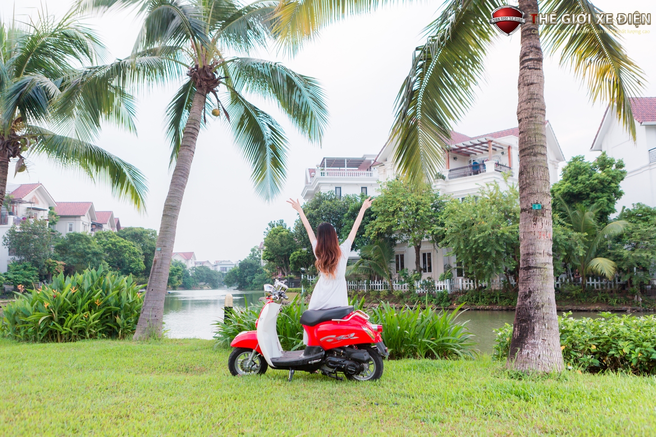 xe ga 50cc scoopy việt thái