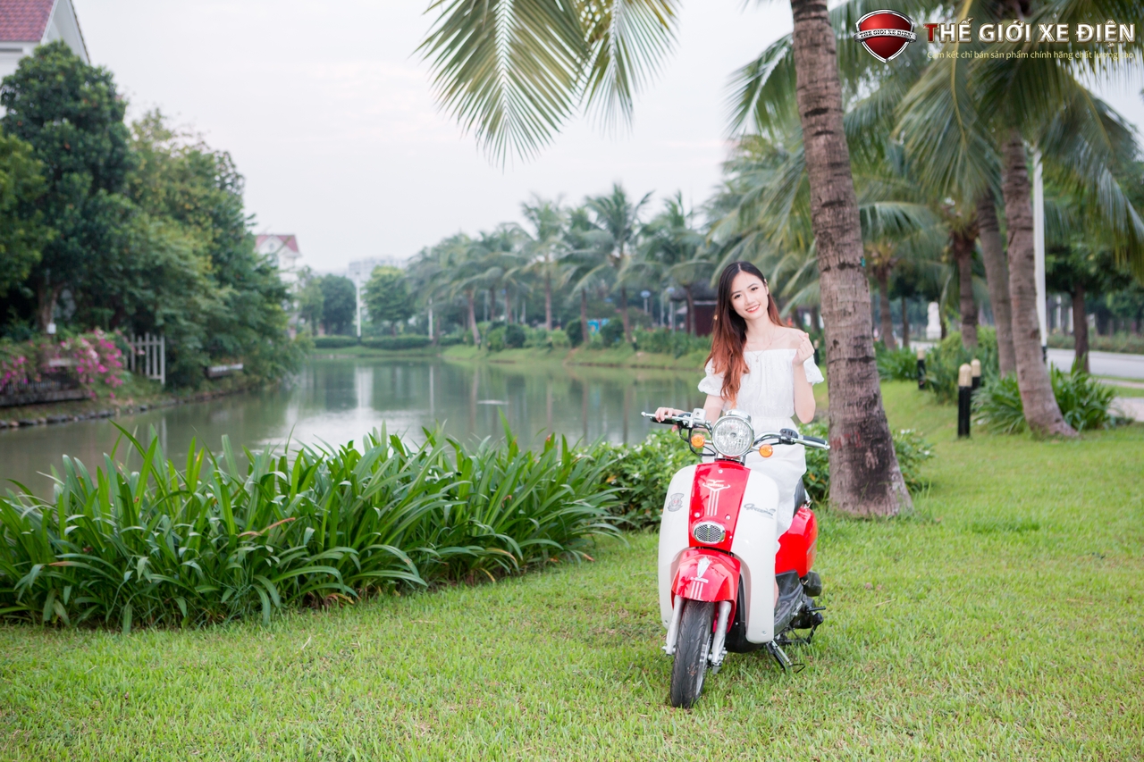 xe ga 50cc scoopy việt thái