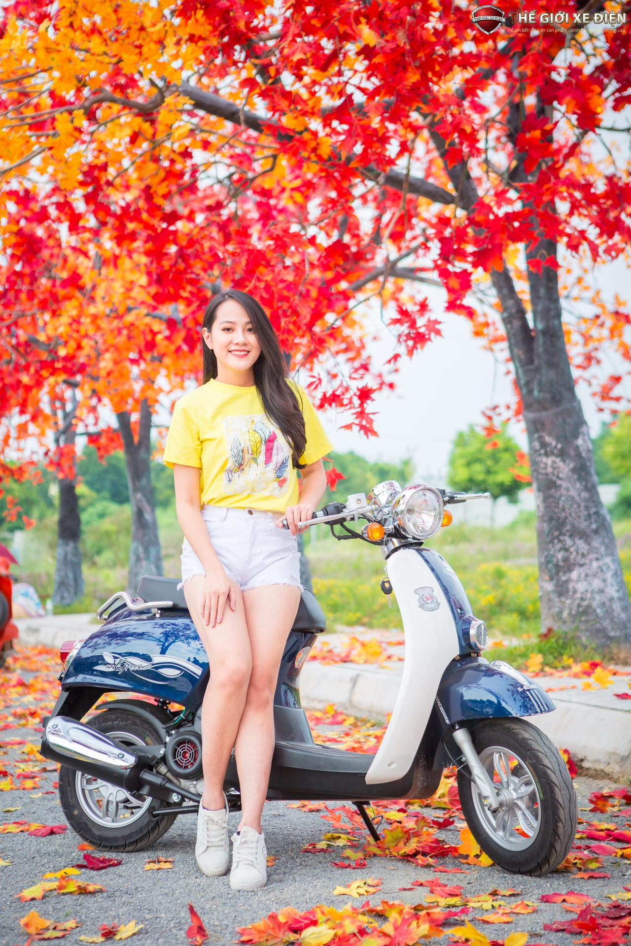 xe ga 50cc scoopy việt thái