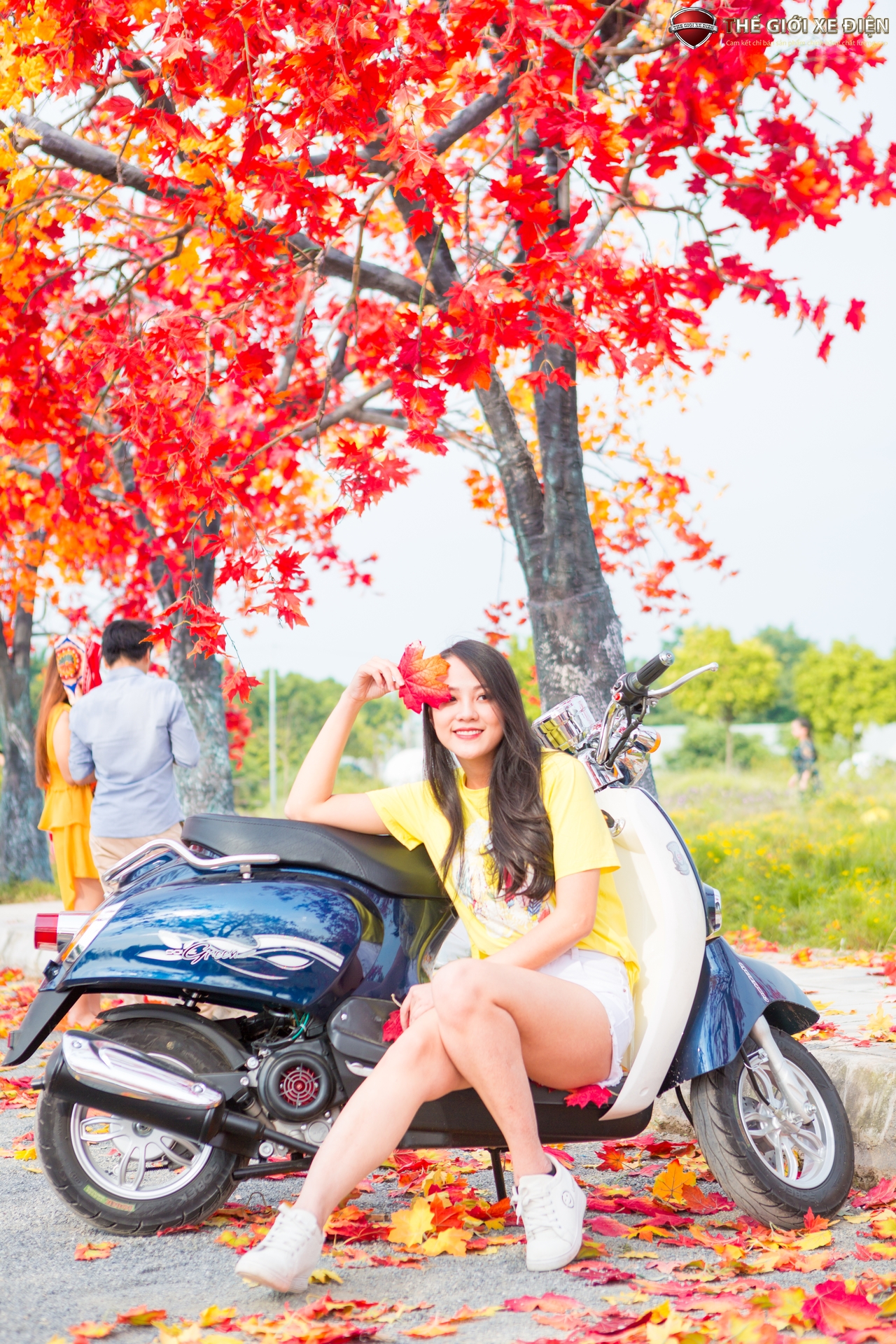 xe ga 50cc scoopy việt thái