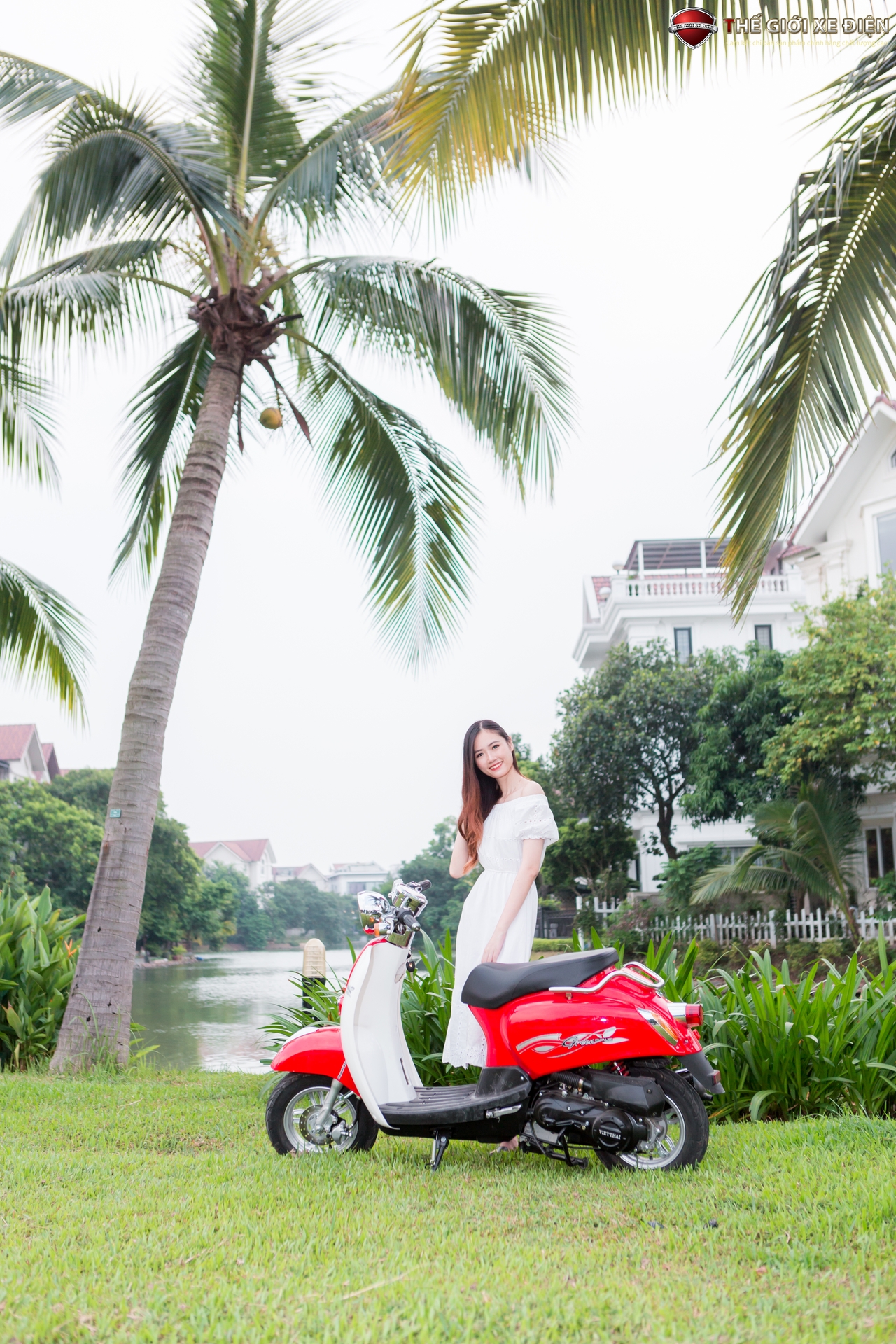 xe ga 50cc scoopy việt thái