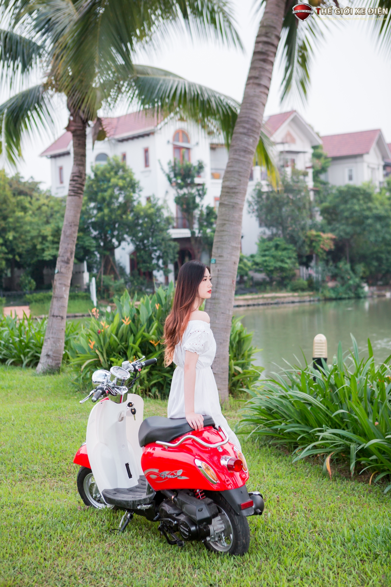 xe ga 50cc scoopy việt thái