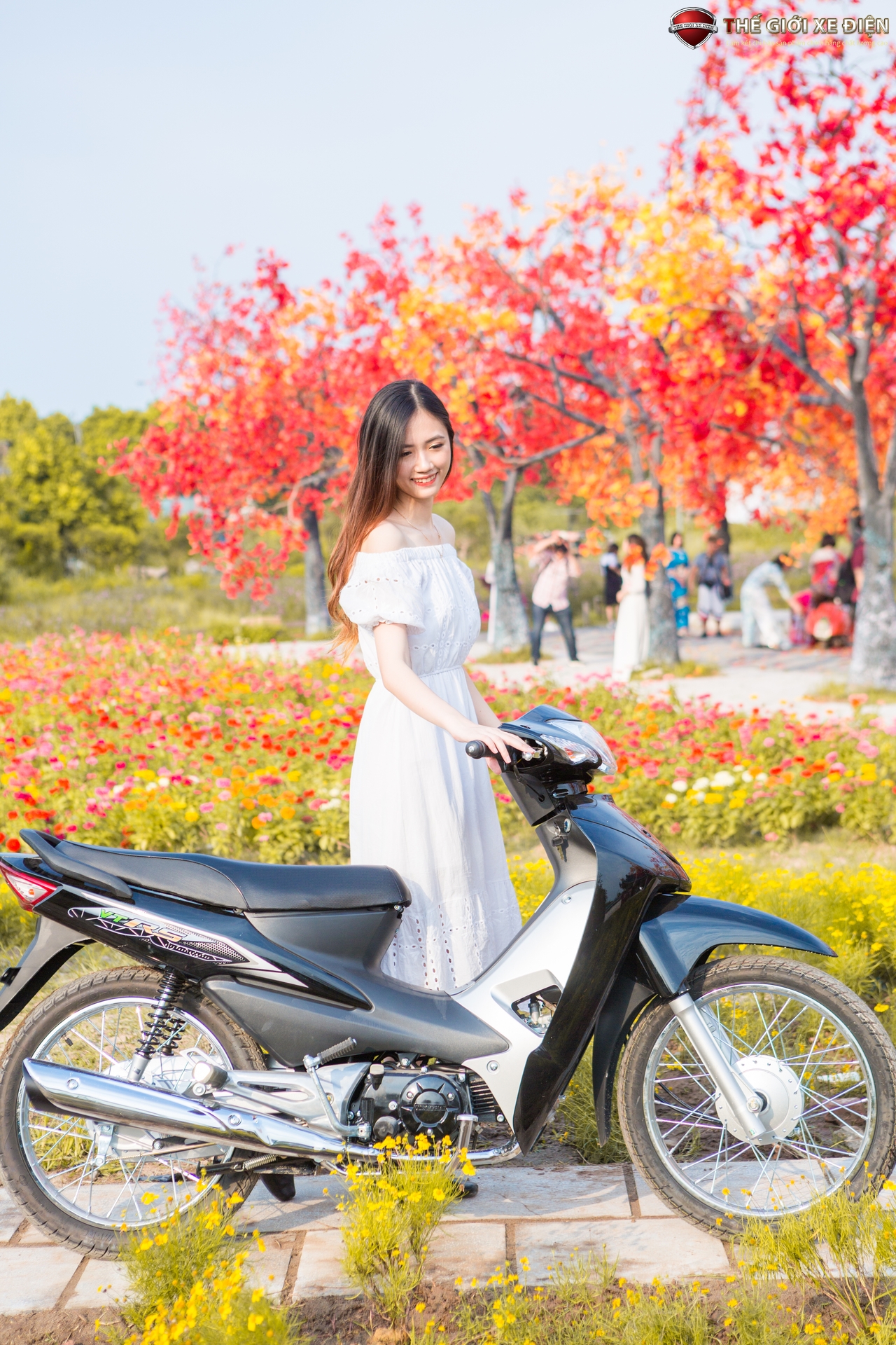 xe wave 50cc việt thái