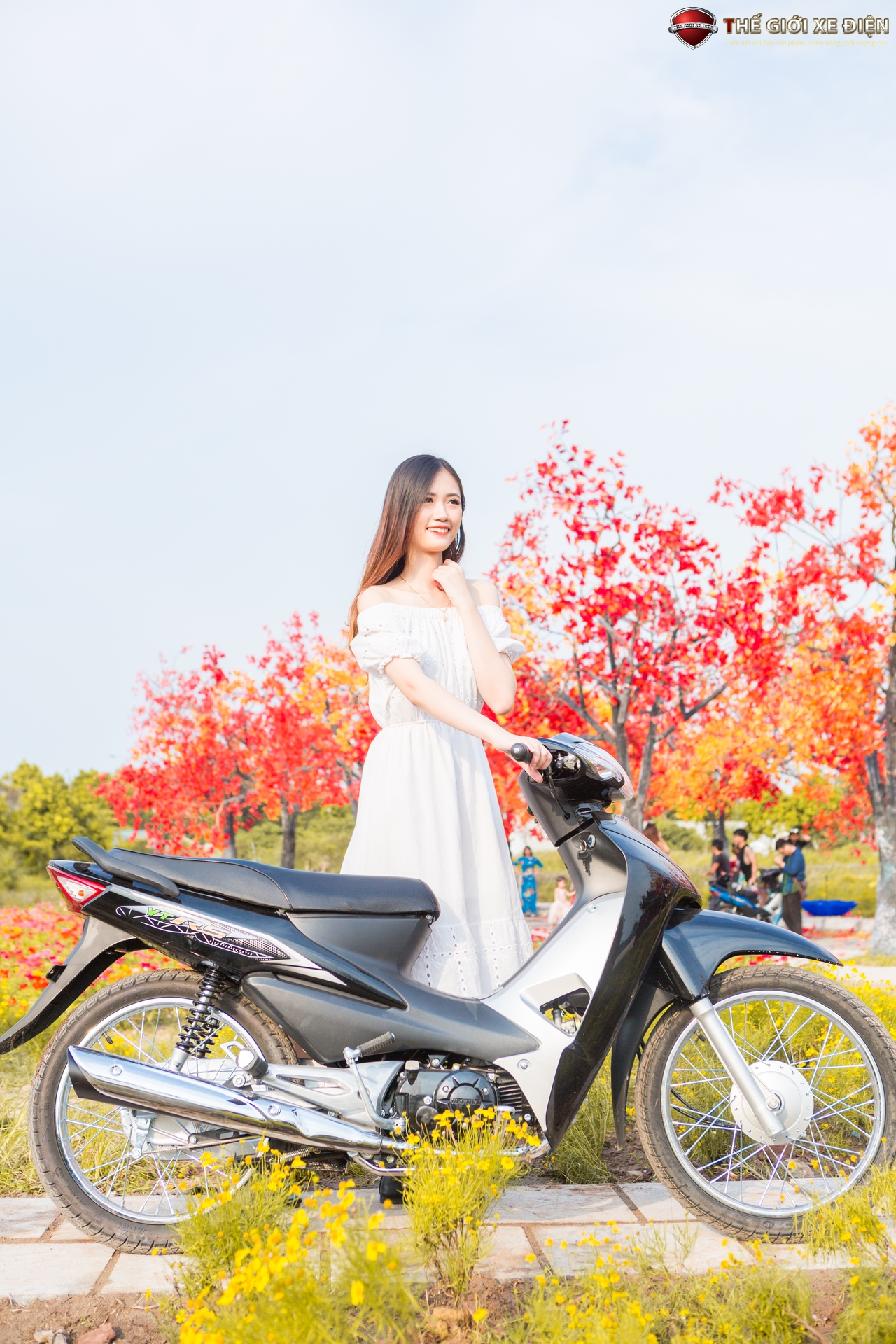 xe wave 50cc việt thái