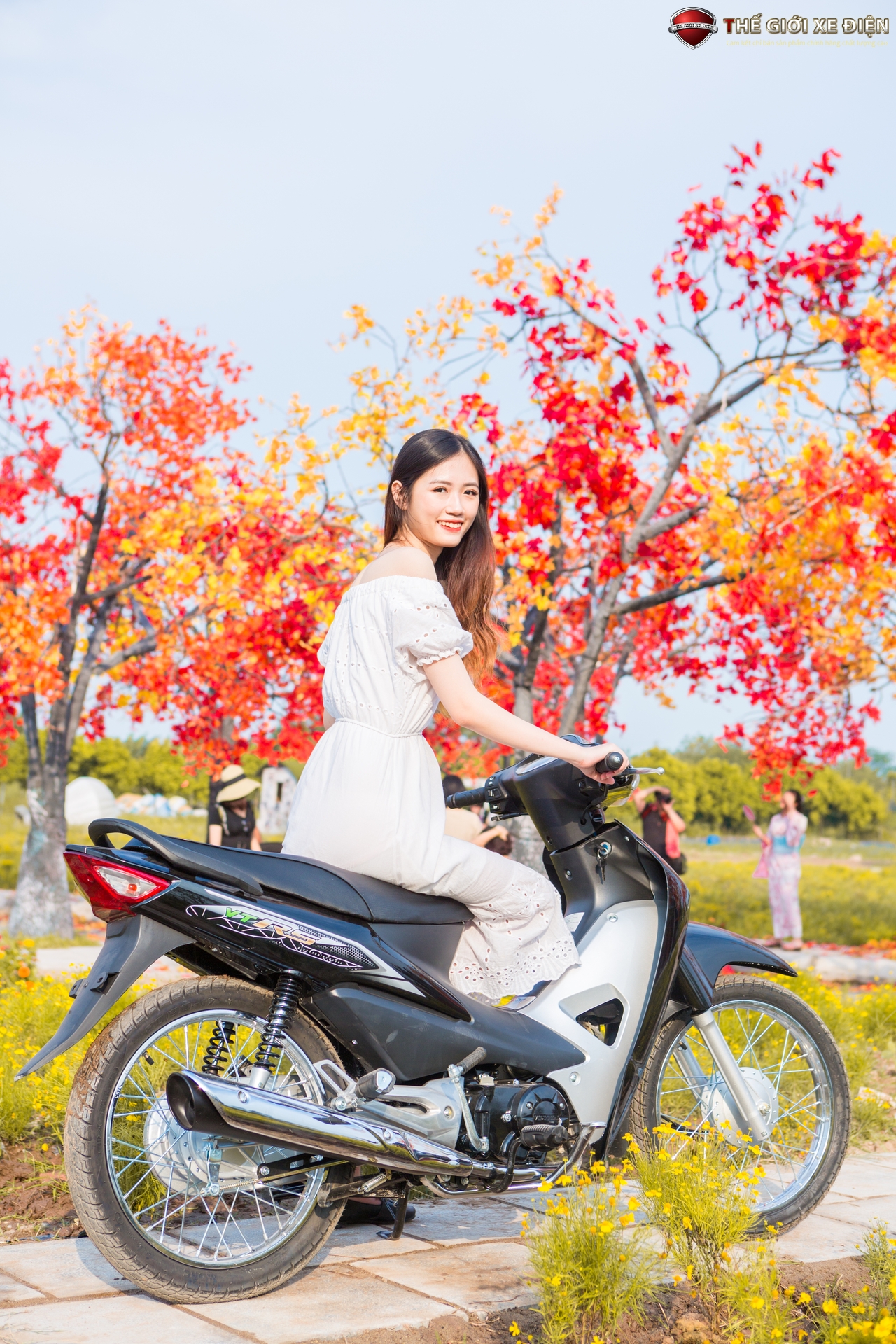 xe wave 50cc việt thái