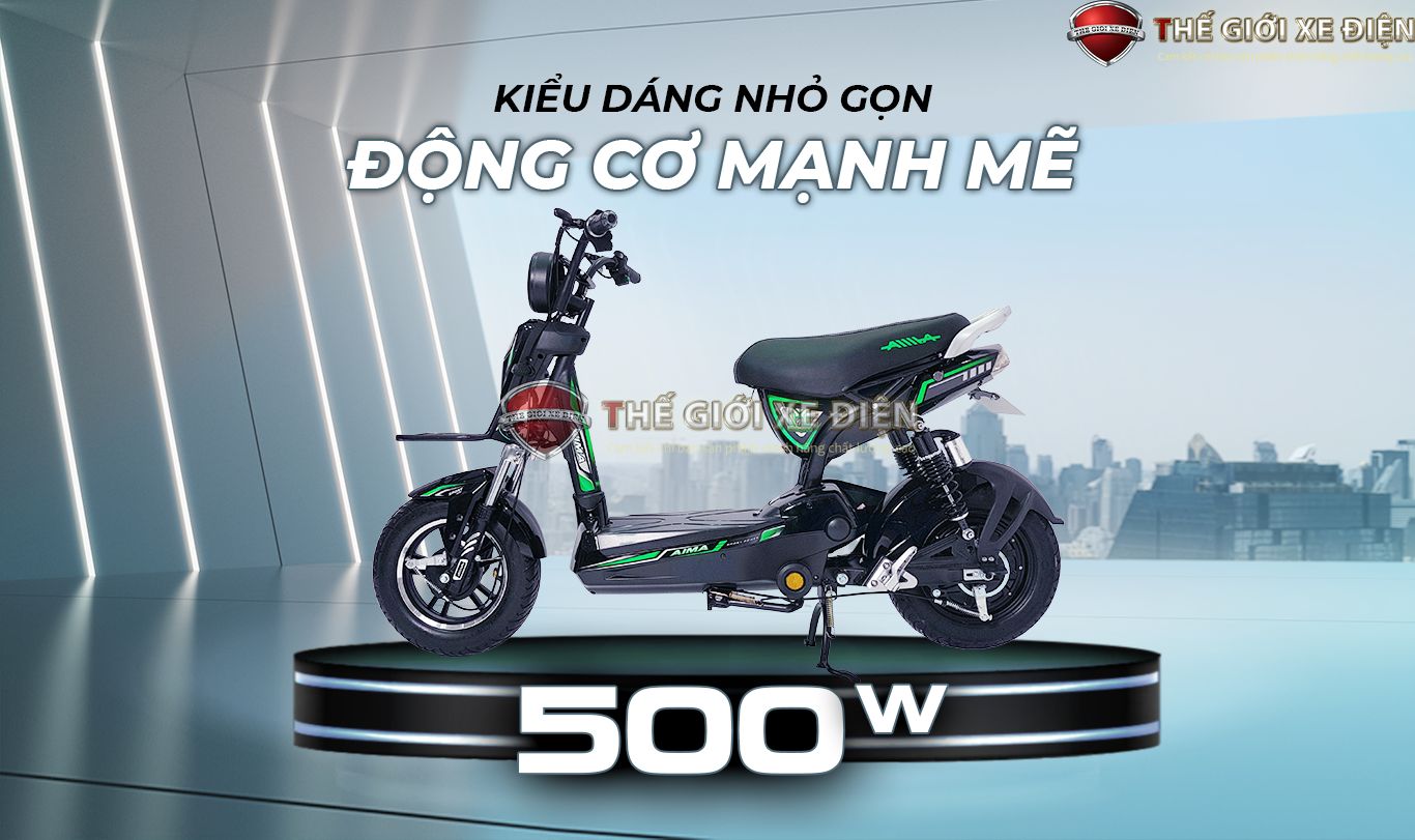 động cơ amia x bull 500w