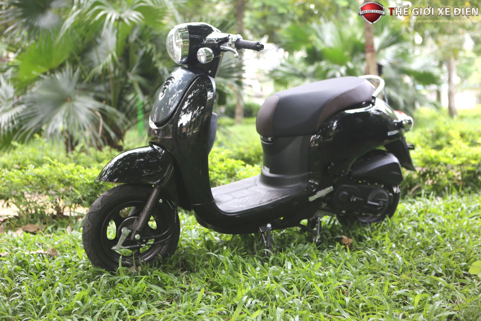 xe ga 50cc giorno scoopy