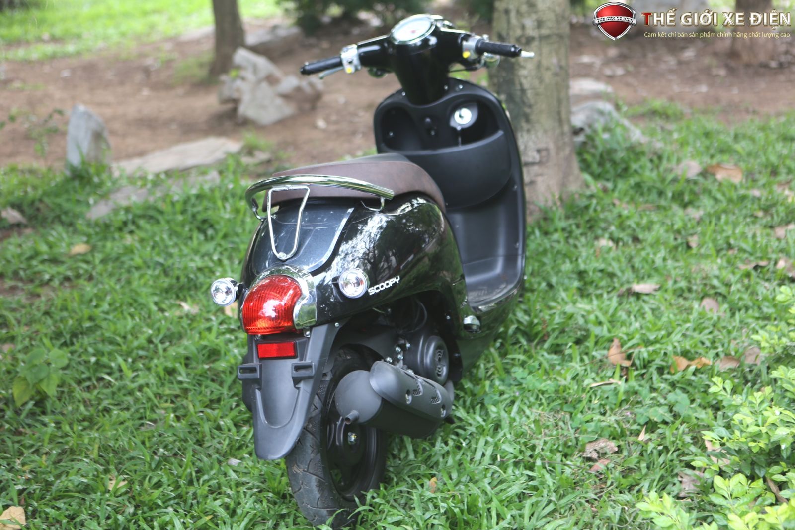 xe ga 50cc giorno scoopy