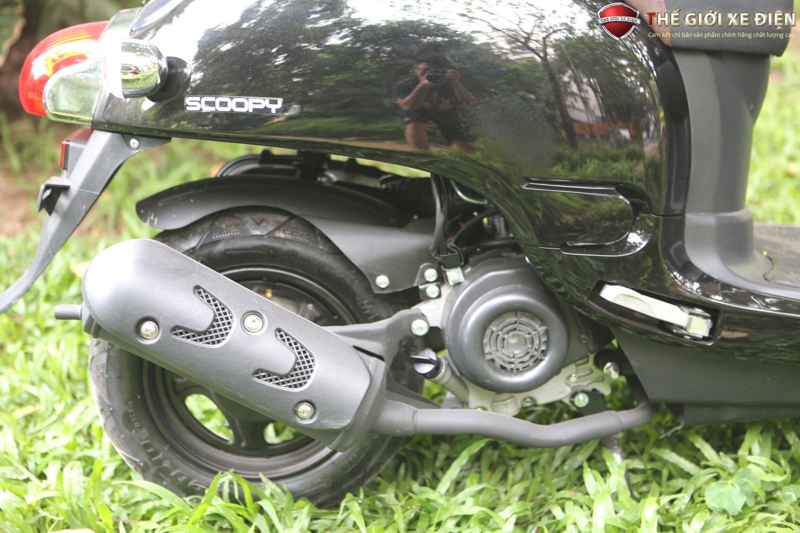 xe ga 50cc giorno scoopy