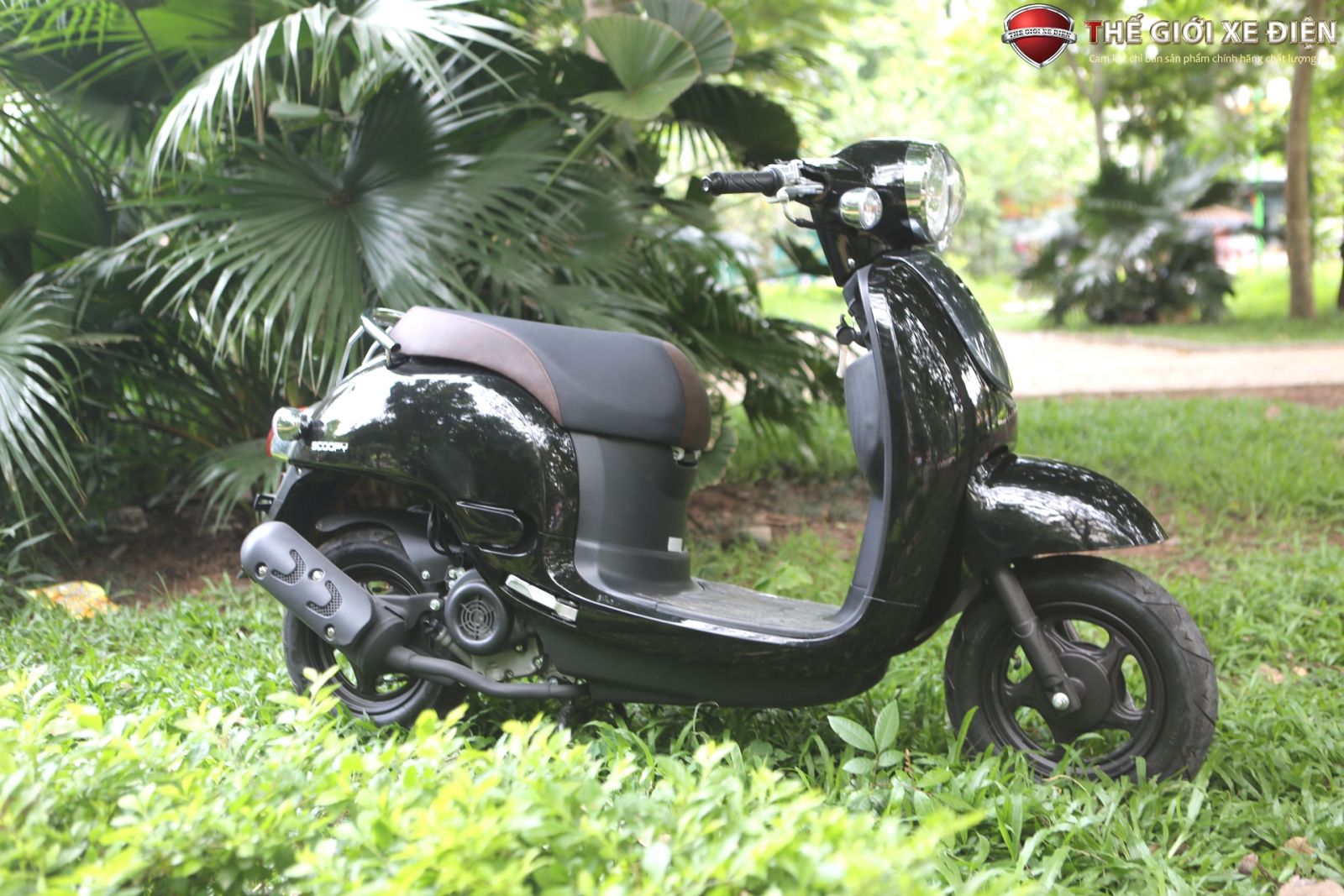 xe ga 50cc giorno scoopy