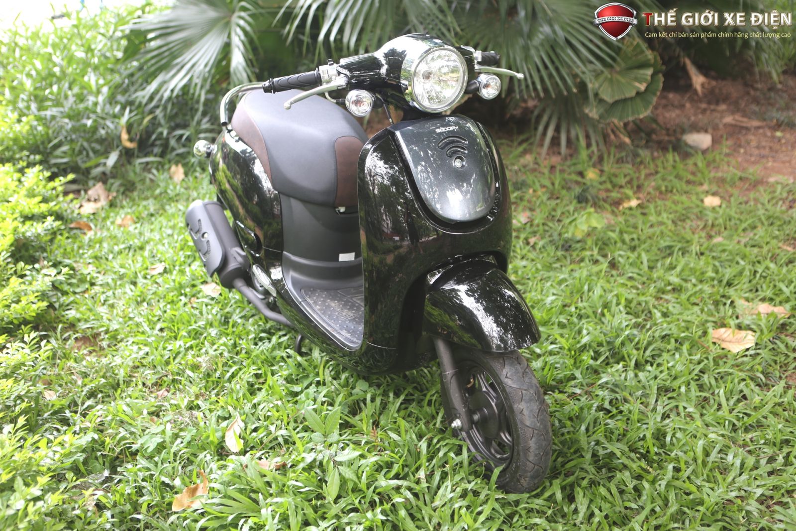 xe ga 50cc giorno scoopy