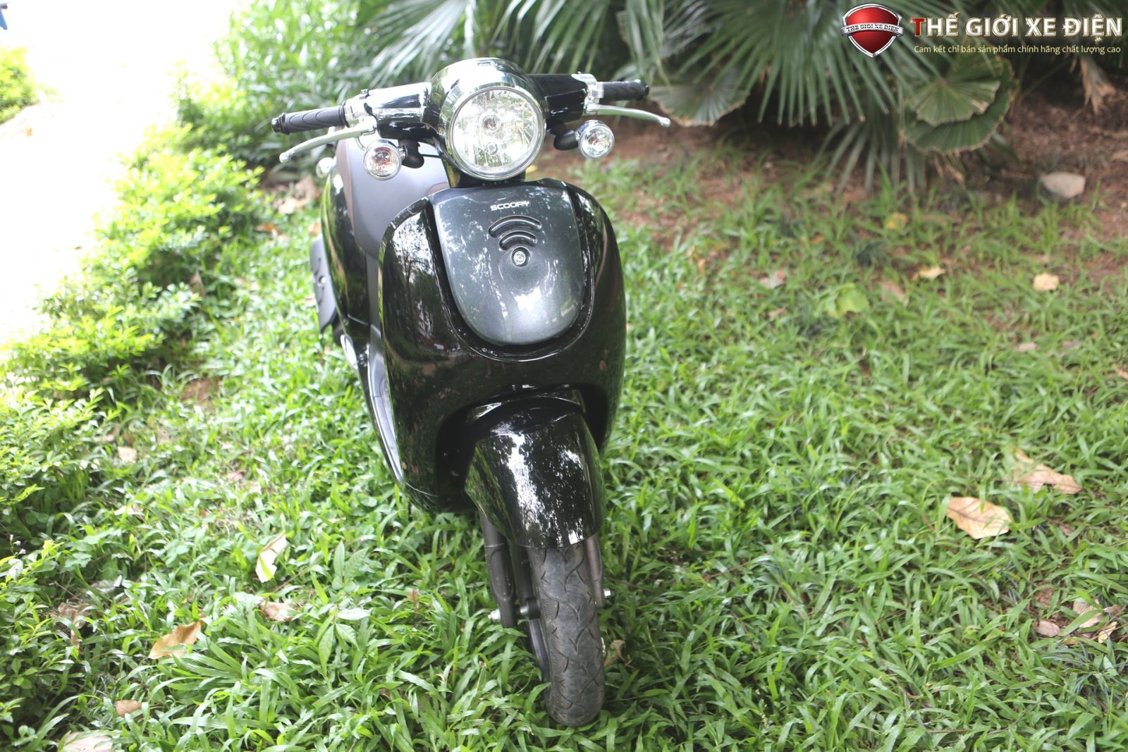 xe ga 50cc giorno scoopy