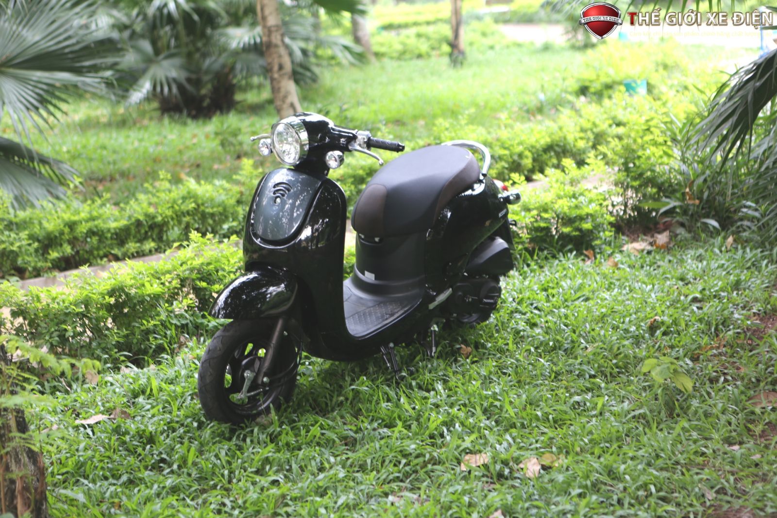 xe ga 50cc giorno scoopy