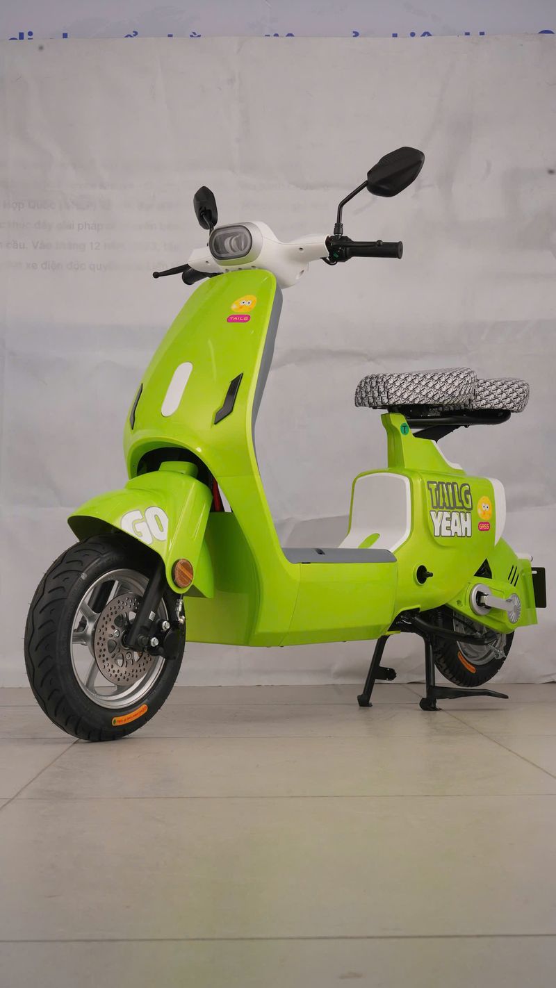 xe đạp điện tailg hotgirl gr55