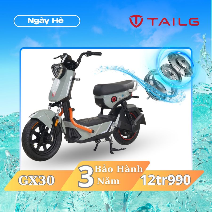 động cơ xe đạp điện tailg gx30 qs motor 800w