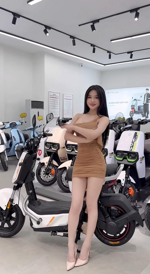 xe đạp điện tailg gx30 xbull