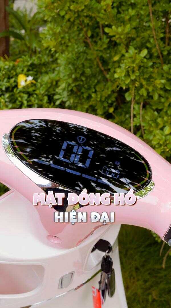 xe điện tailg venus r53