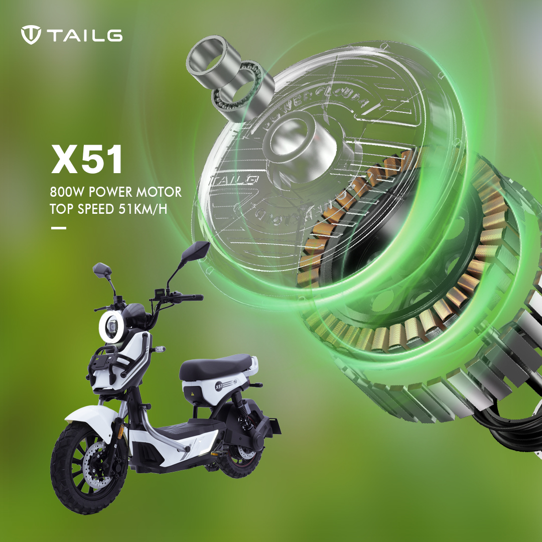 động cơ xe điện tại thị trường Việt Nam