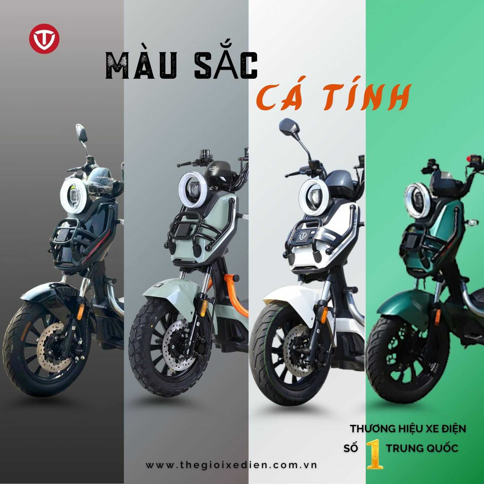 màu tailg discovery x51