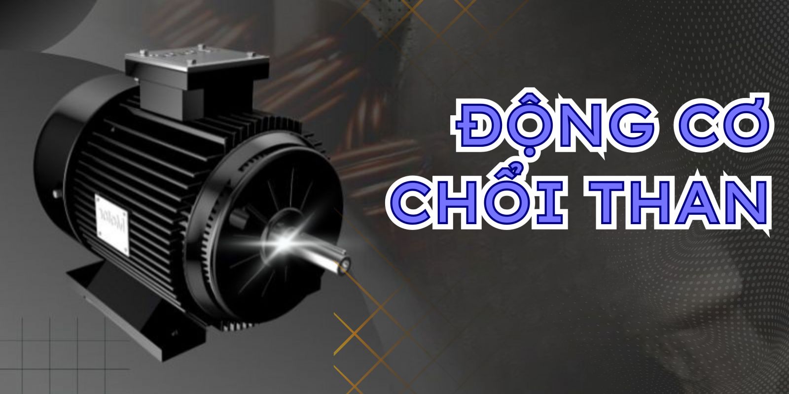 động cơ xe điện loại chổi than