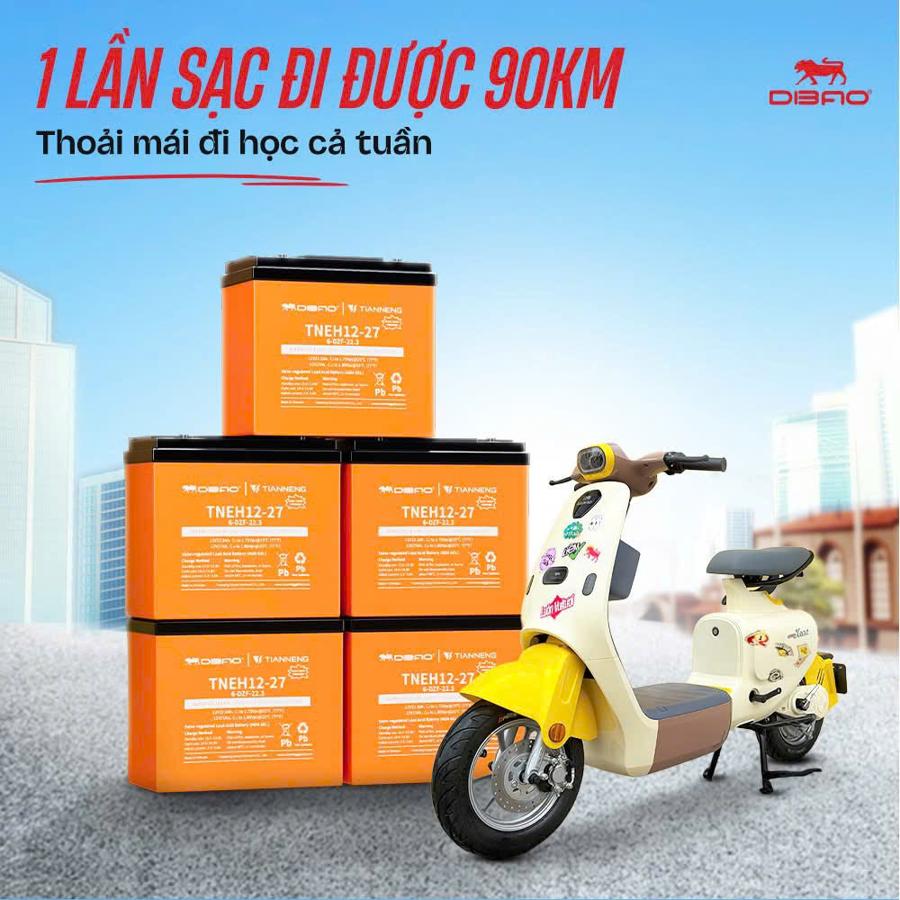 có nên độ thêm bình ắc quy cho xe điện không