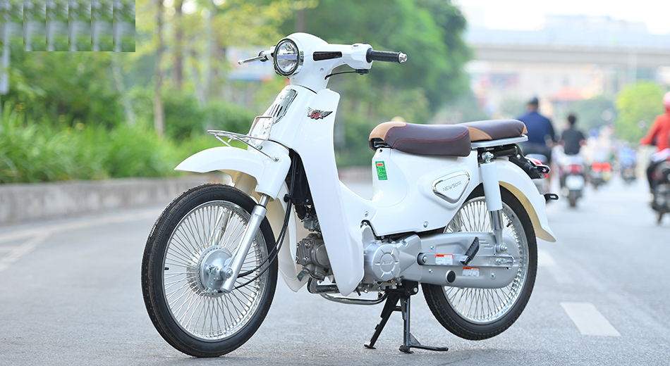 Xe máy 50cc Cub Ally New 50SE