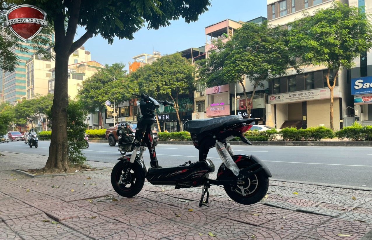 Xe đạp điện