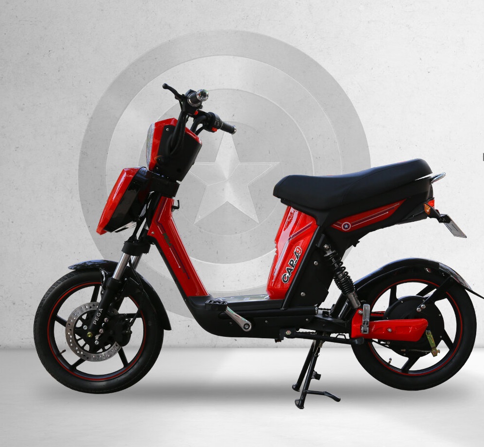 Xe đạp điện Pega 