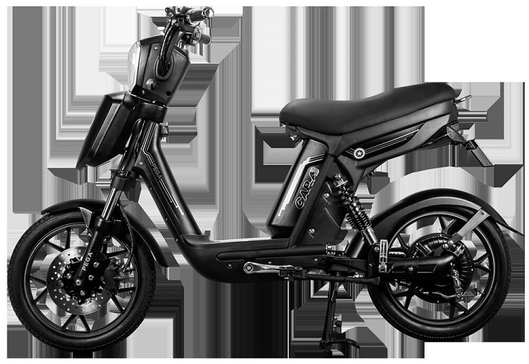 Xe đạp điện Pega 