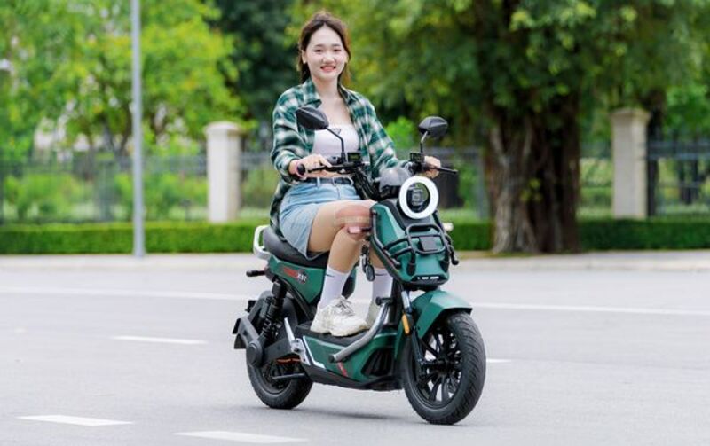 xe đạp điện TailG