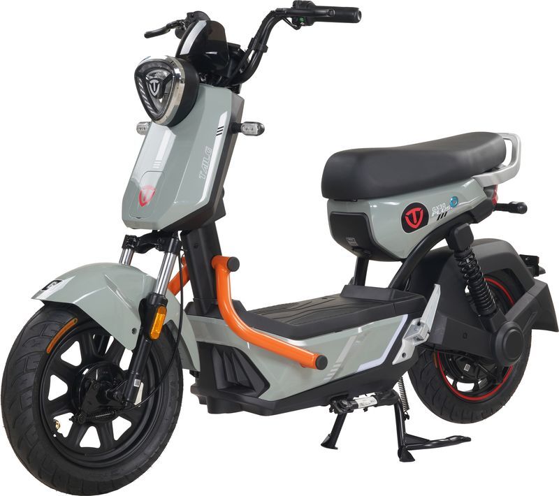 xe đạp điện TailG