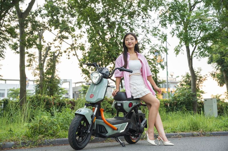 xe đạp điện TailG