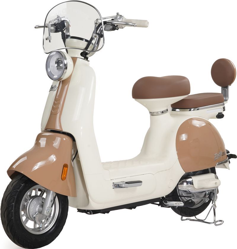 xe đạp điện TailG