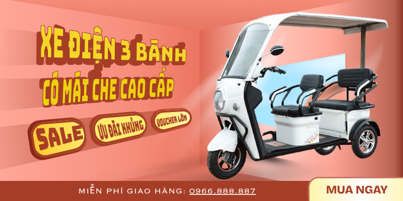 xe điện 3 bánh có mái che cao cấp