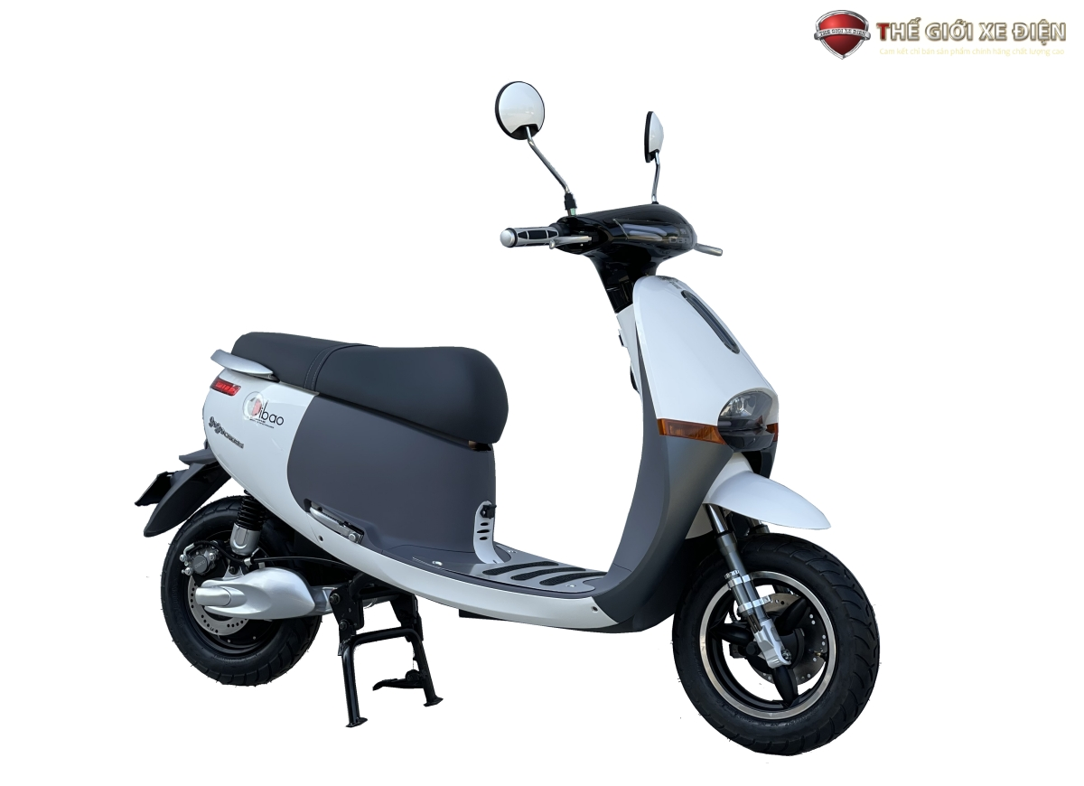 xe điện dibao gogo cross