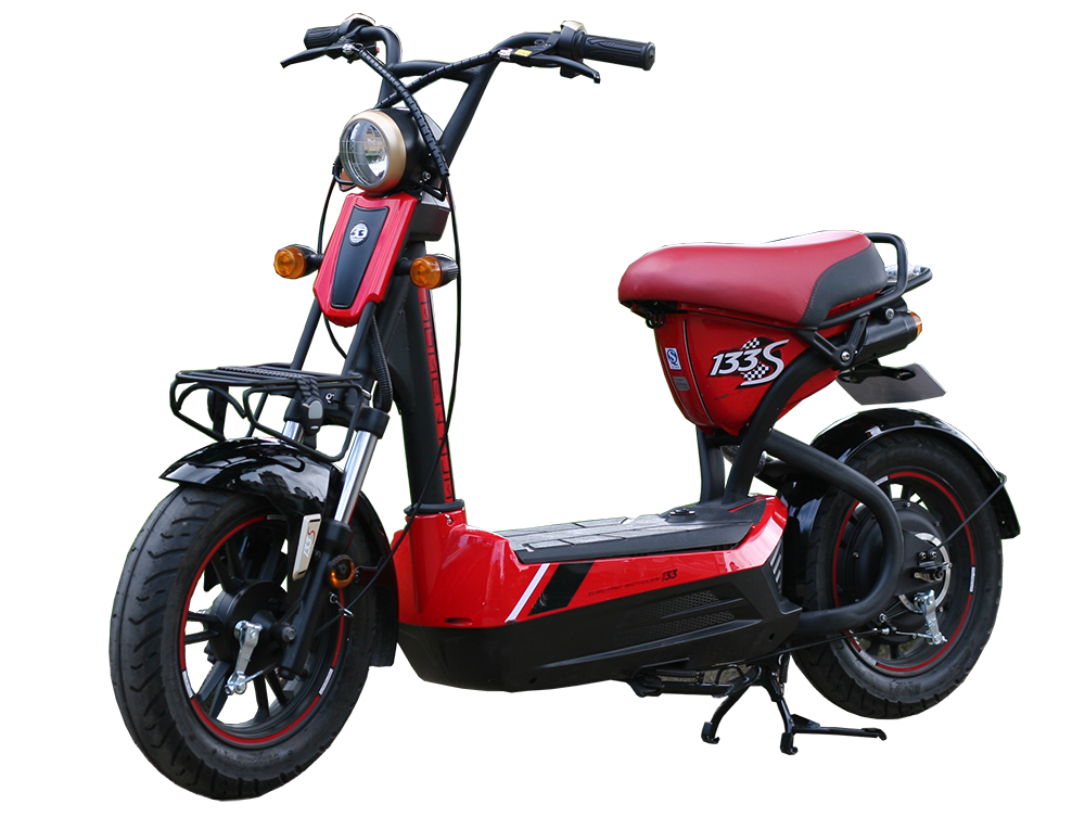 Xe đạp điện giá rẻ