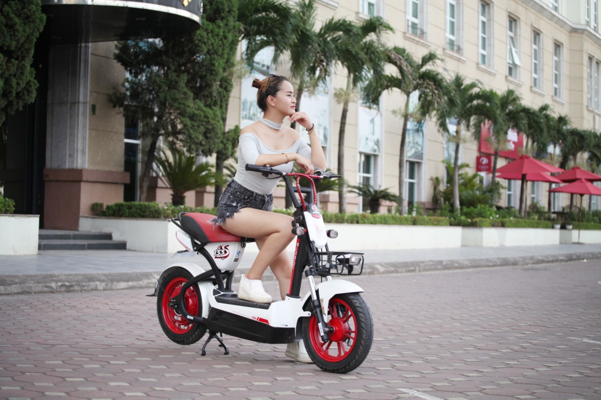 Xe điện Giant M133S Plus