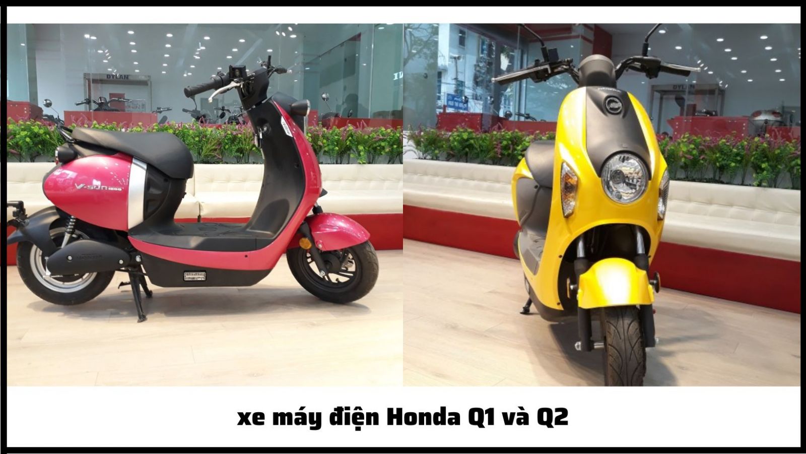 Xe máy điện Honda Q1 và Q2