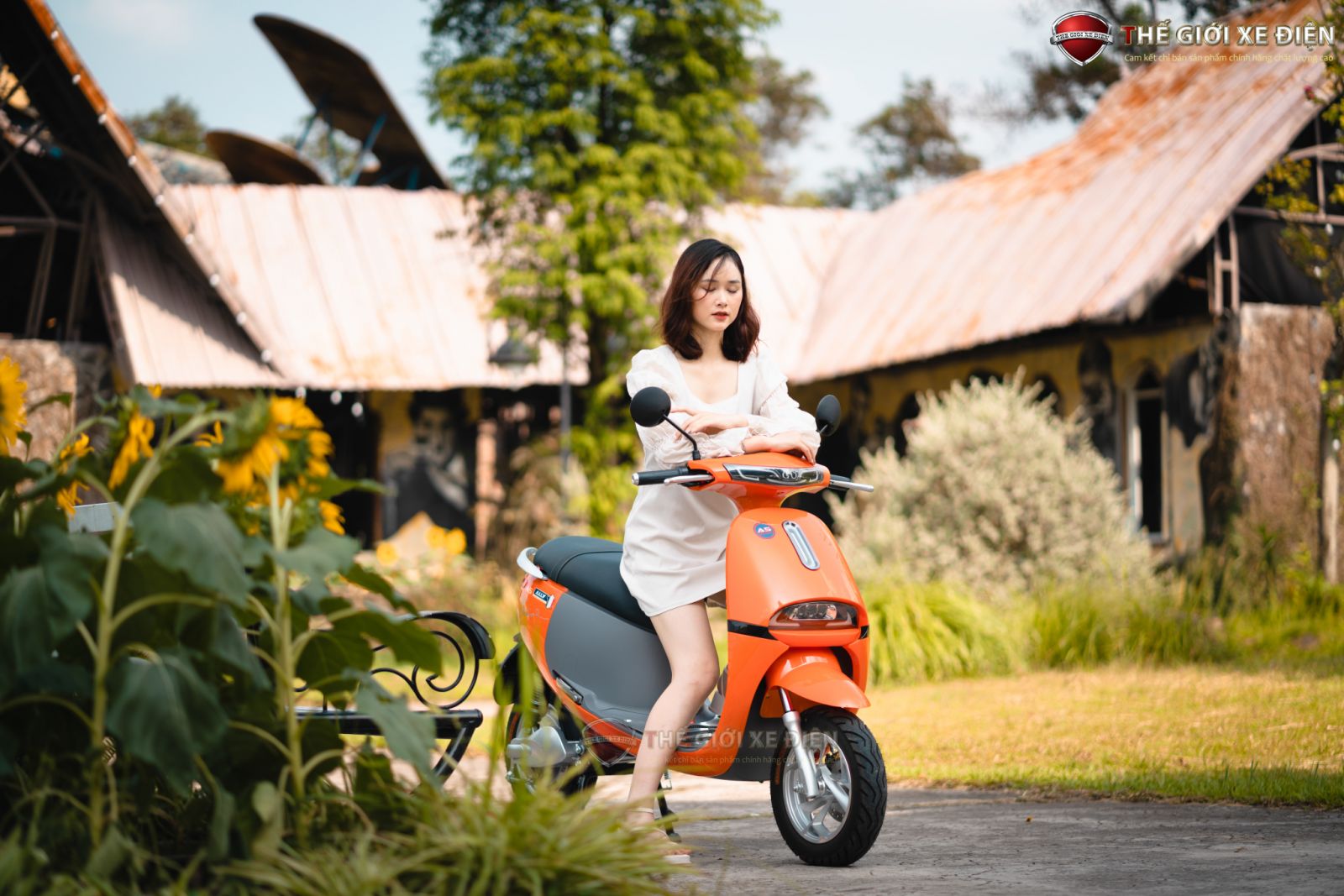 xe máy 50 phân khối