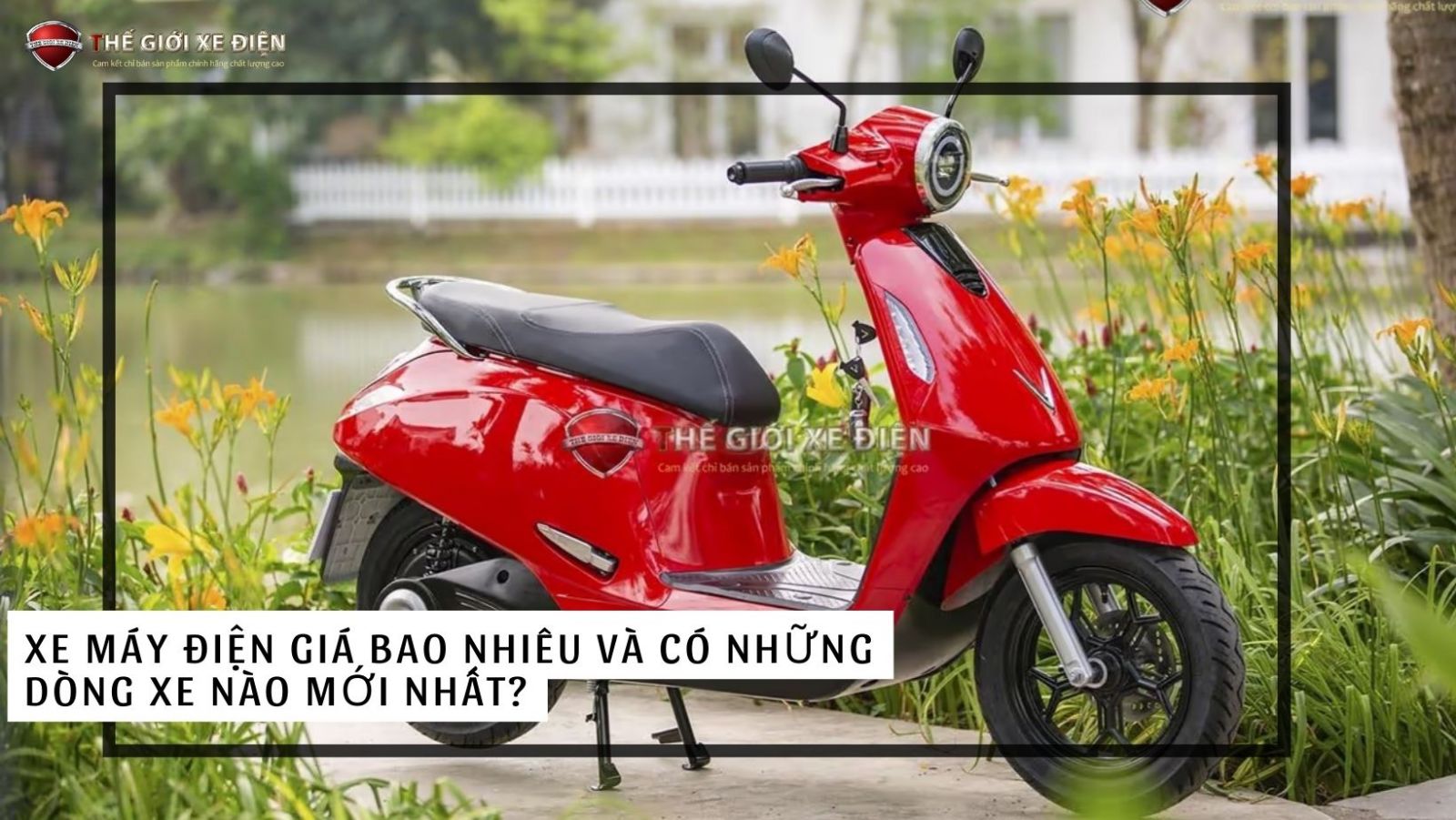 Xe máy điện giá bao nhiêu