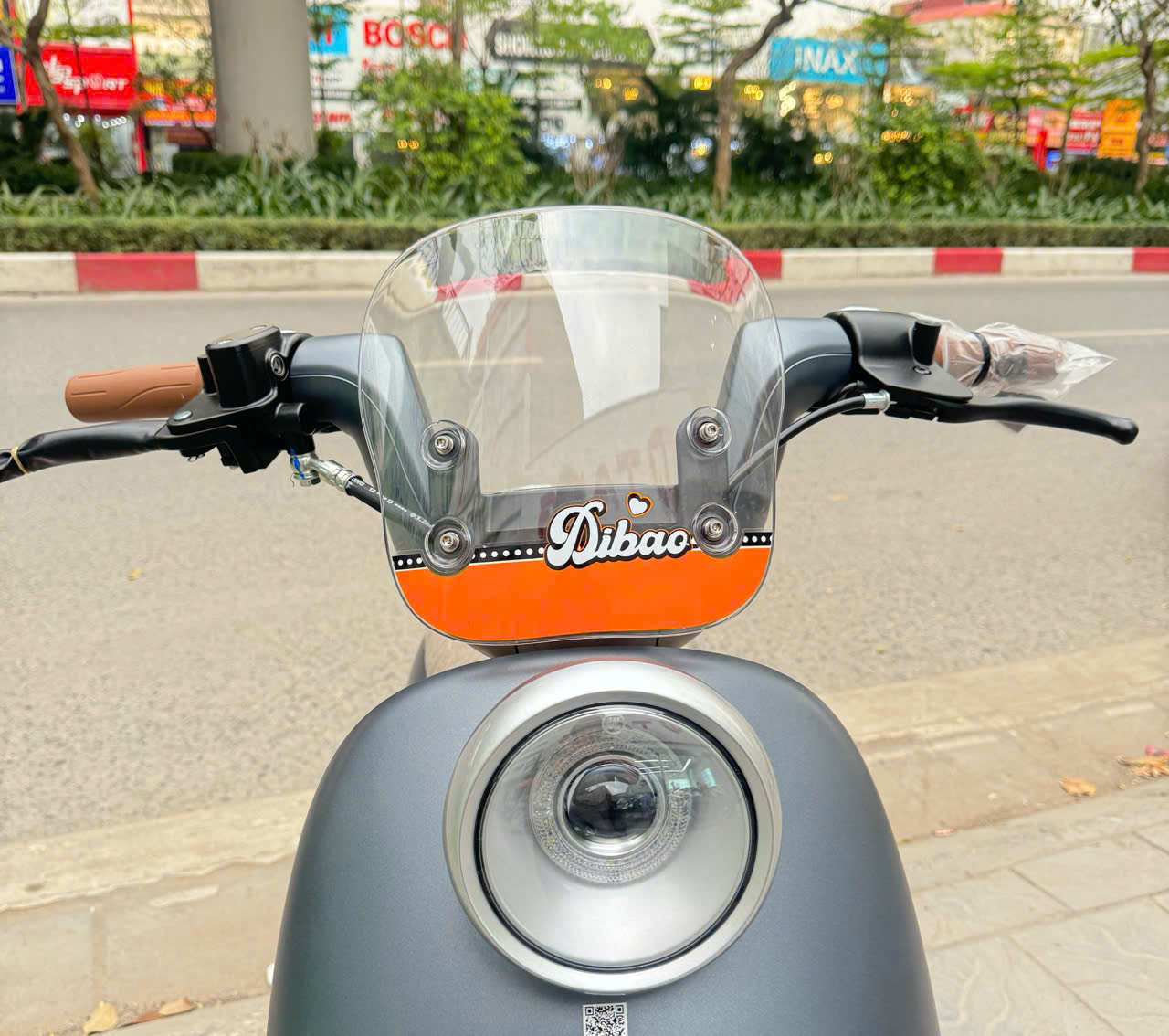Xe Đạp Điện Dibao Queen