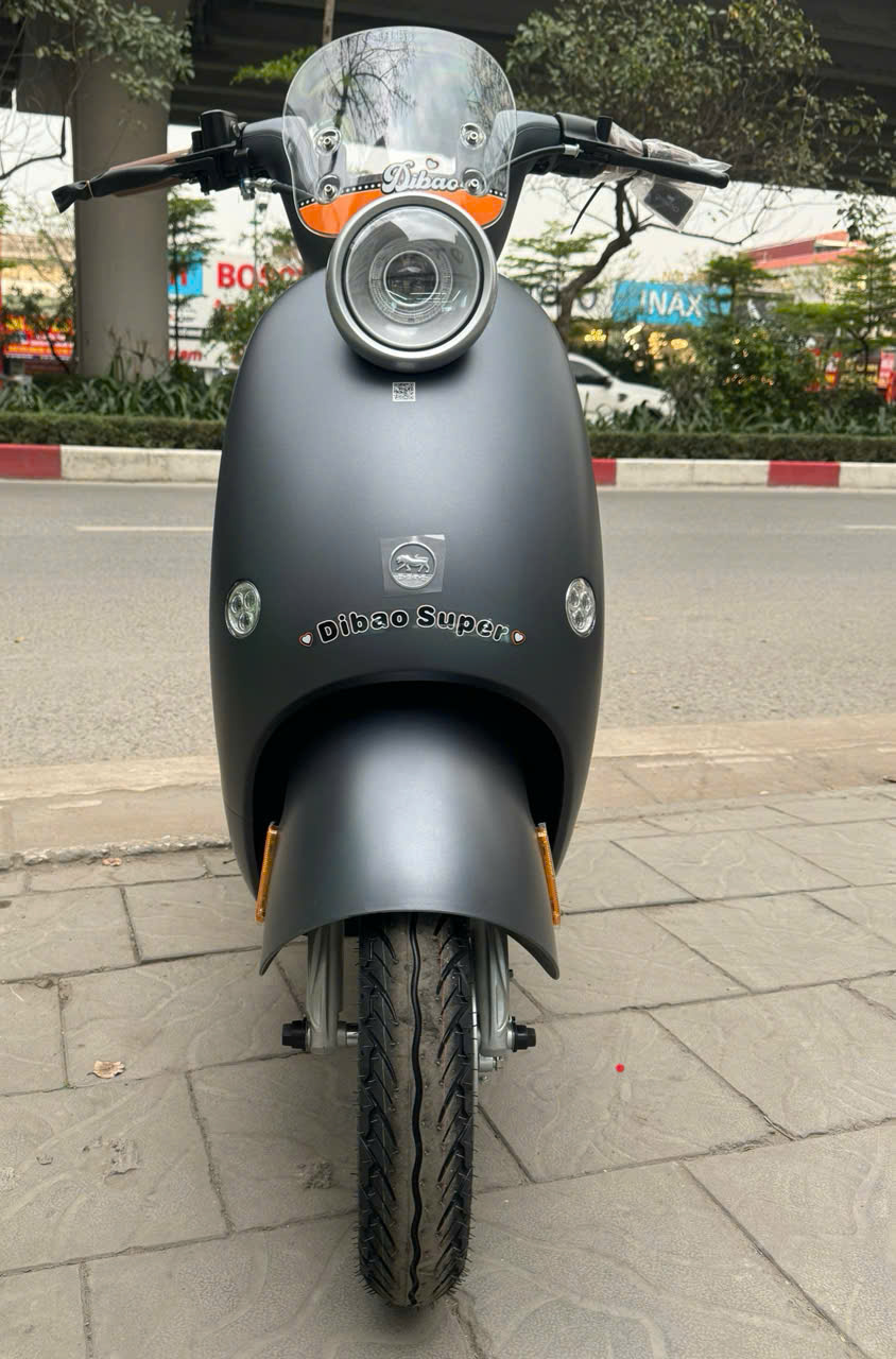 Xe Đạp Điện Dibao Queen