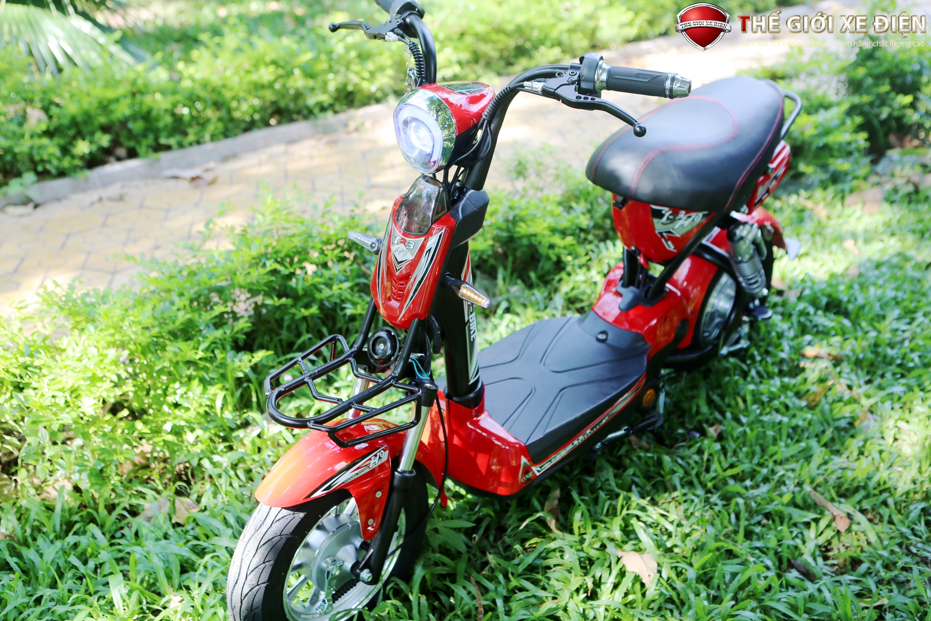 Xe đạp điện HT Bike H9