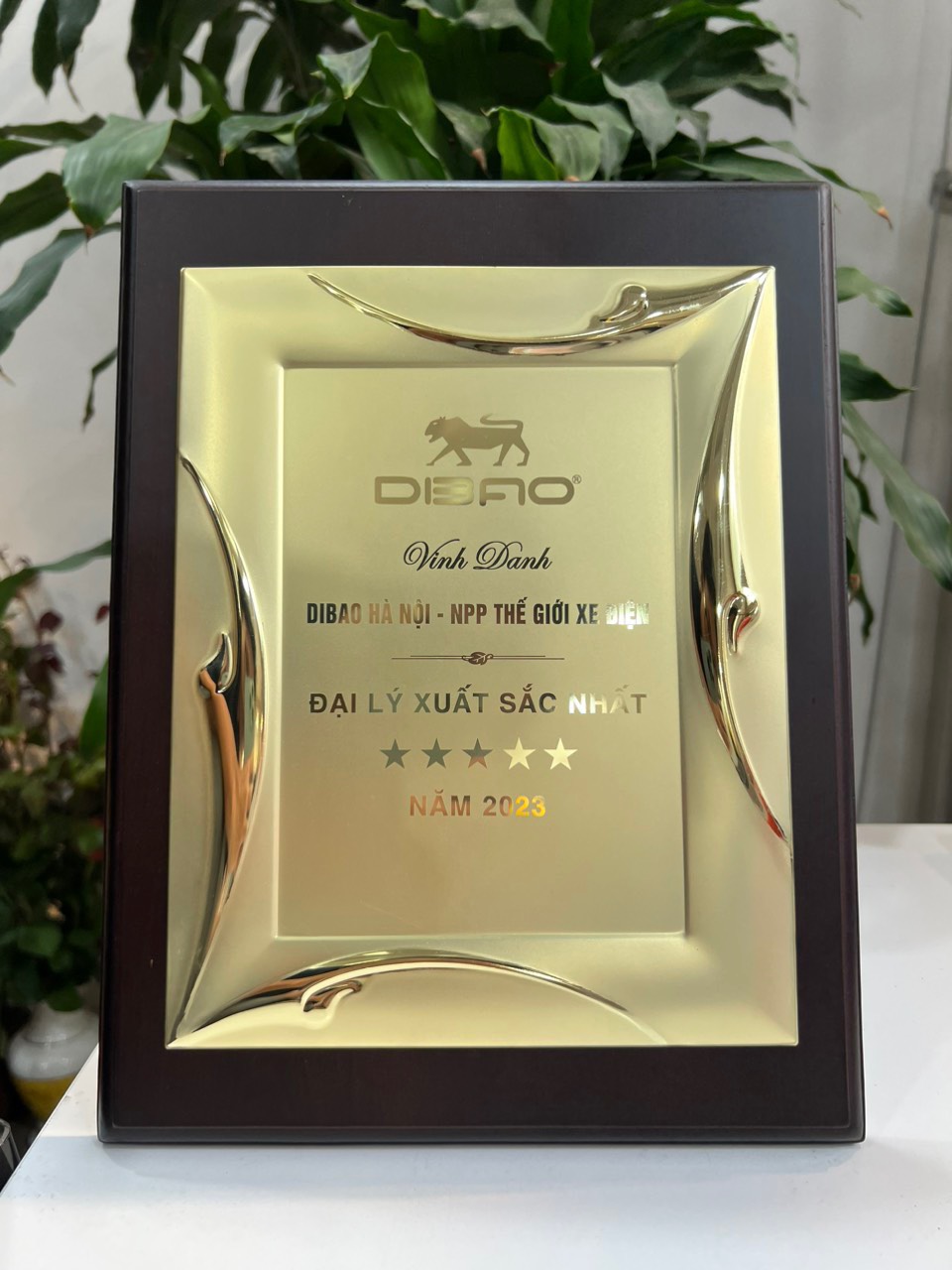 Các mẫu xe sắp ra mắt nhà Dibao trong năm 2024